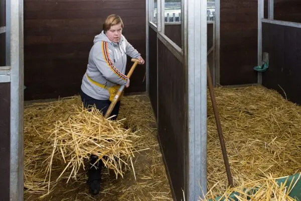 Client aan het werk op de boerderij